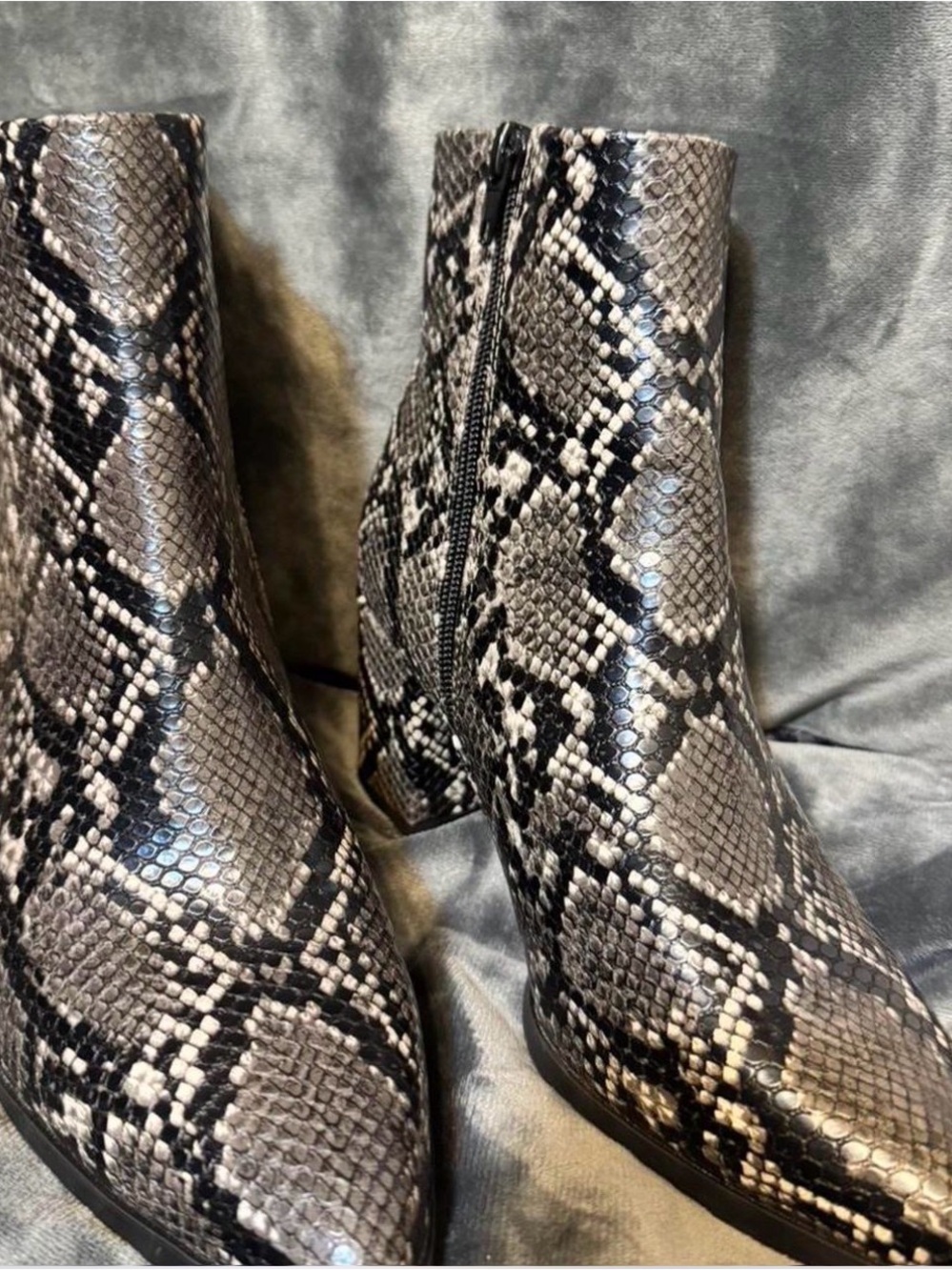 Madden Girl Snake-Print Block Heel Ankle Boots - Black & Gray
